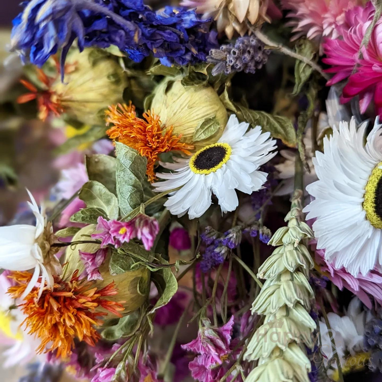 Gifts for homebodies