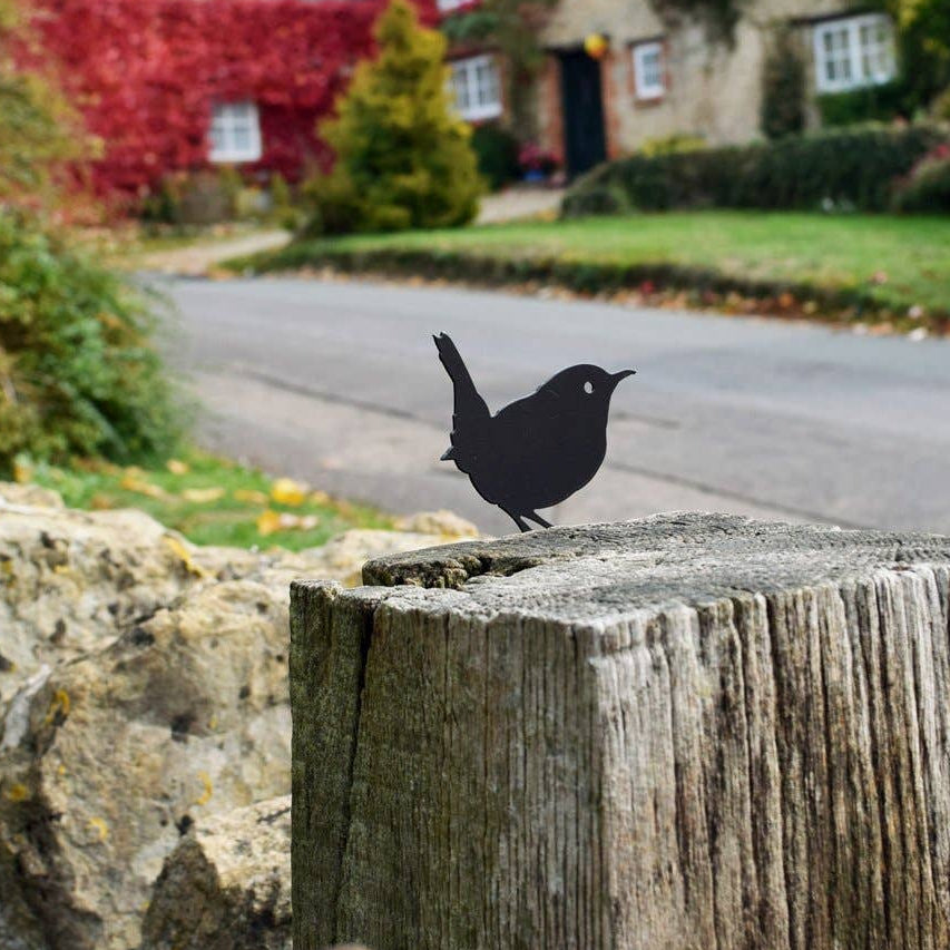 Blackmetal wren bird perched on a wooden post with a village scene in the background