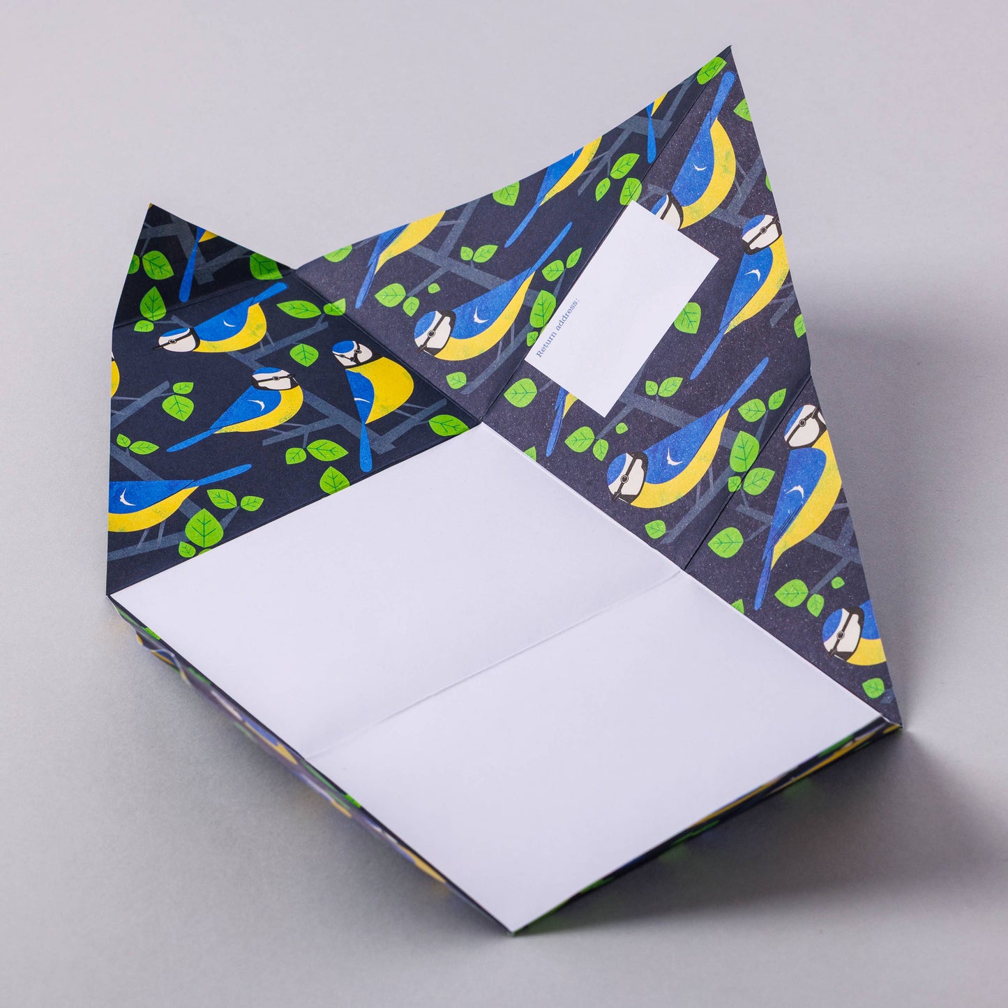 Dawn Chorus Pigeon - pack of 6 folding letters