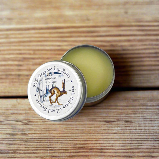 Autumn/Winter shea butter lip balm