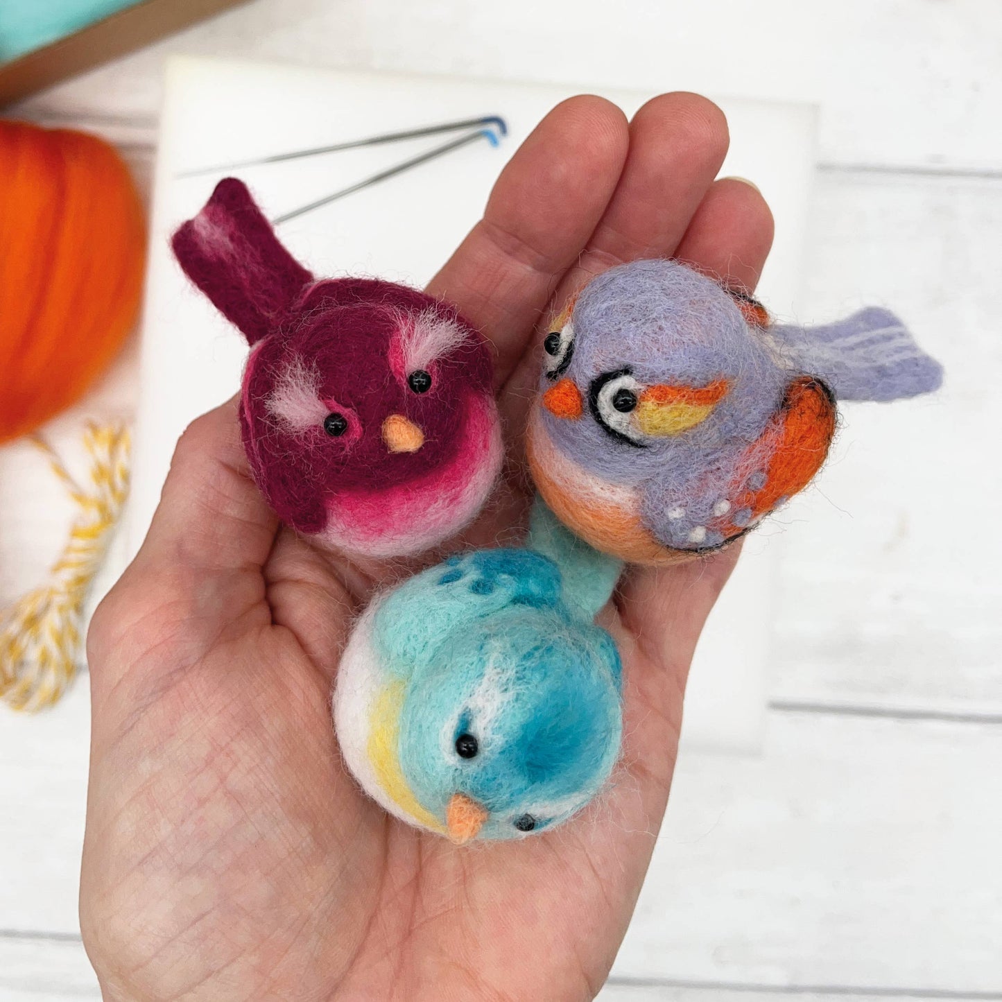 Baby birds needle felting kit