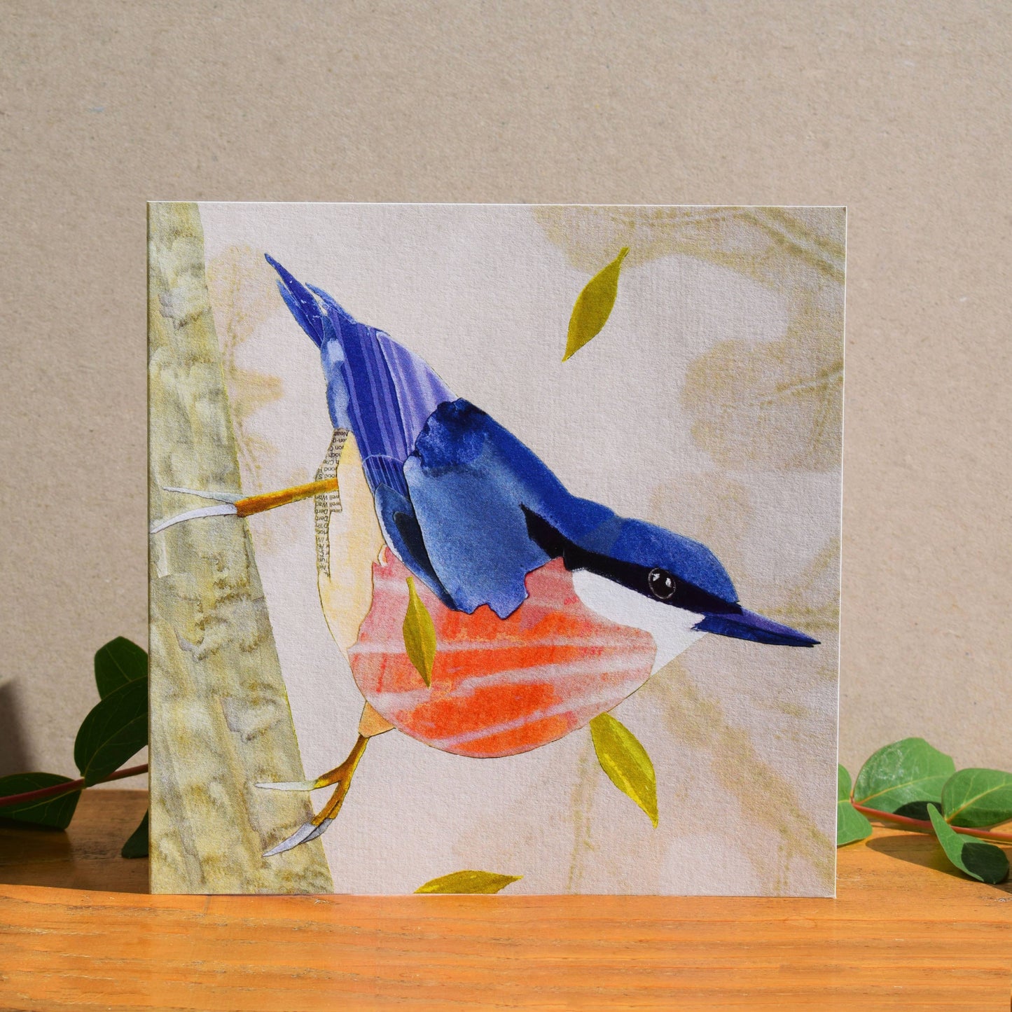 Nuthatch card
