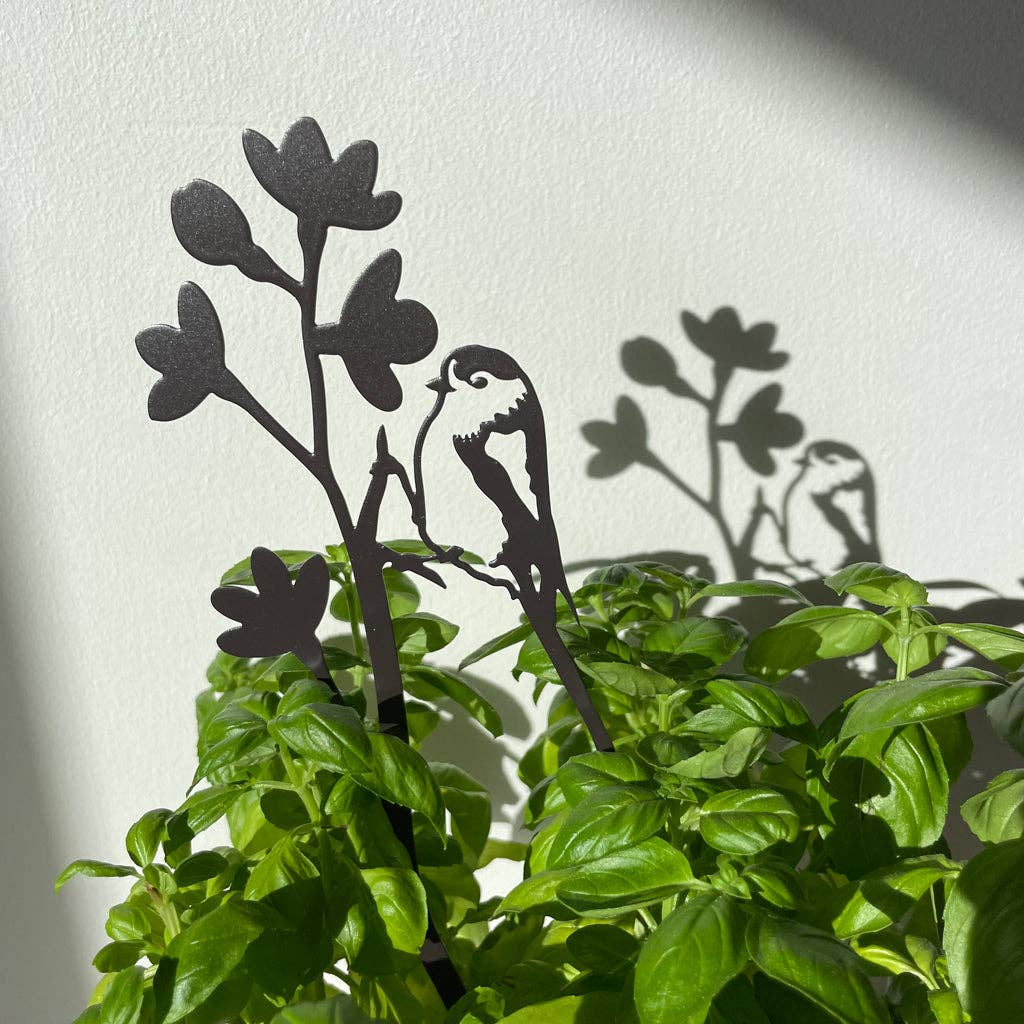 Long-tailed tit on blossom steel plant pot stem