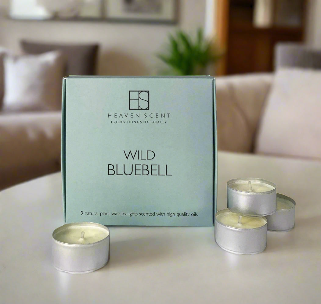 Box of nine bluebell natural wax tealights