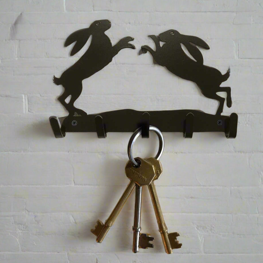 Steel boxing hares key hooks
