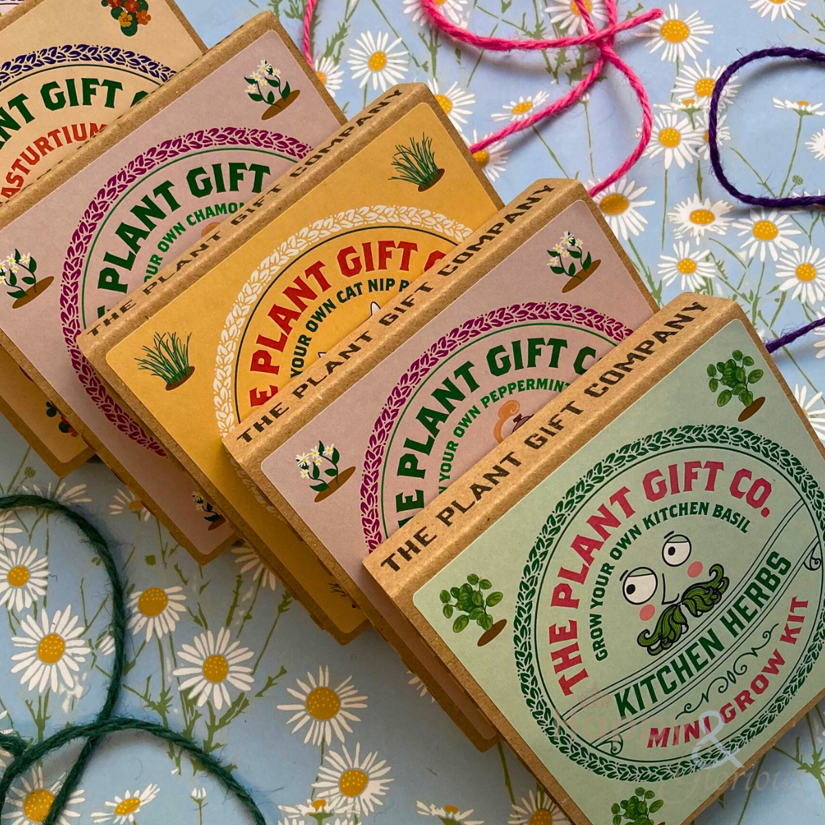 Edible flowers eco grow-kit