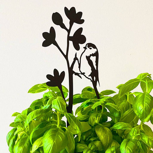 Long-tailed tit on blossom steel plant pot stem