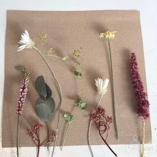 Dried flower frame workshop - Tuesday 2nd February - 6.30-8.30pm