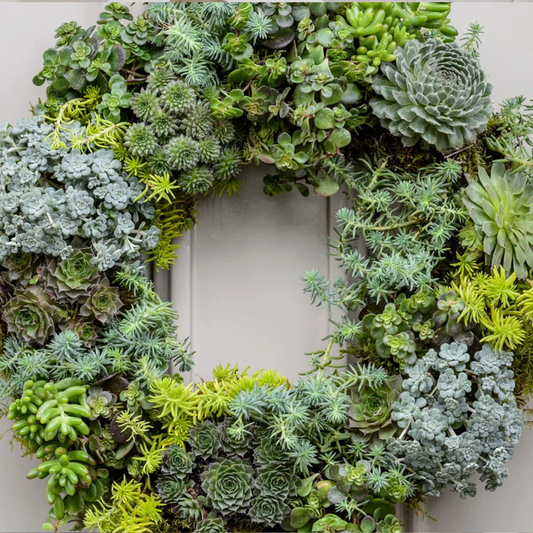Living wreath workshop - Sunday 26th July