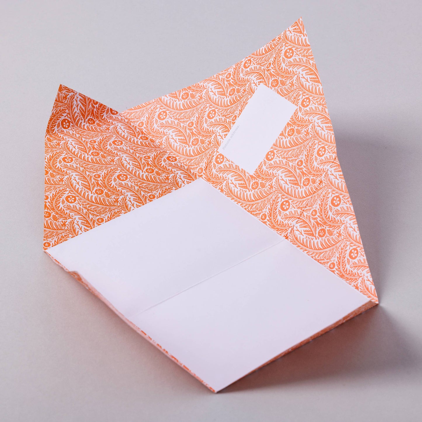 Nature Study Pigeon - pack of 6 folding letters