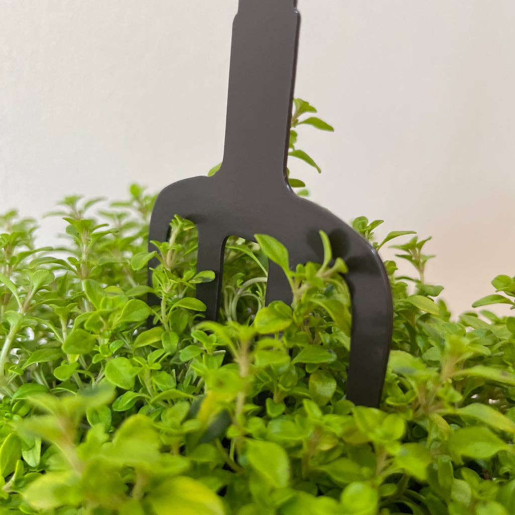 Robin on a fork with mistletoe plant pot stem