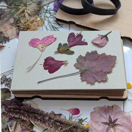 Vintage corn poppy pocket flower press