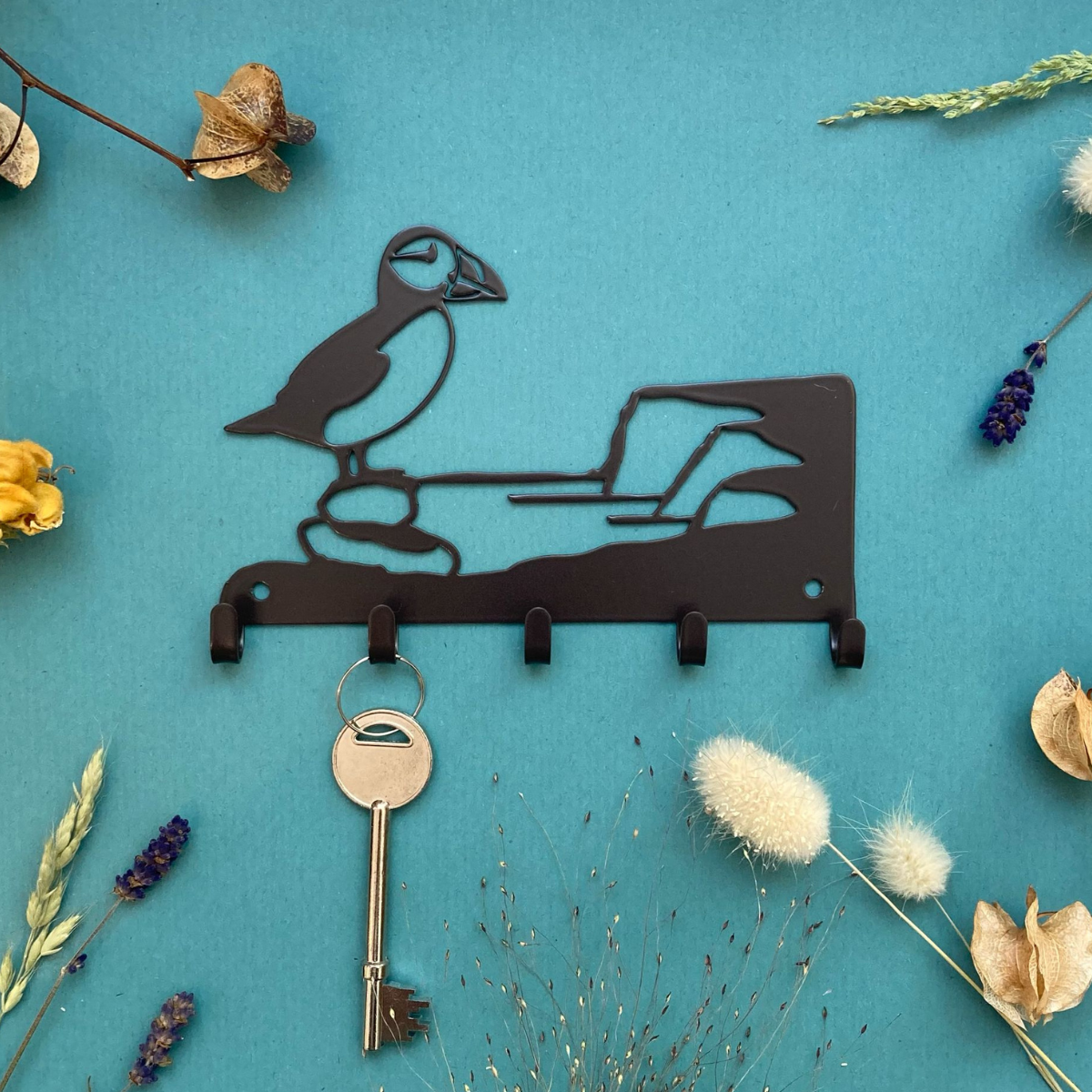 Steel puffin key hook