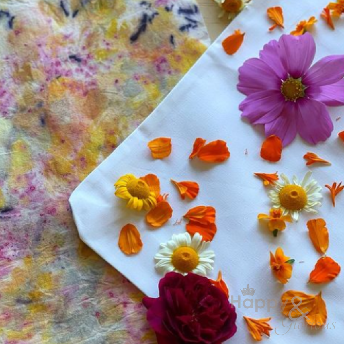 Botanical dyeing workshop  - Monday 22nd July