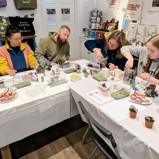 Terrarium workshop - Sunday 19th July