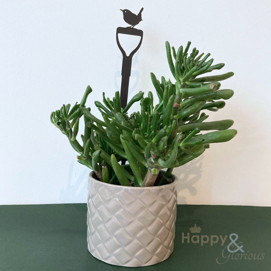 Wren on a fork steel plant pot stem