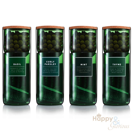 Coriander hydroponic organic herb growing kit