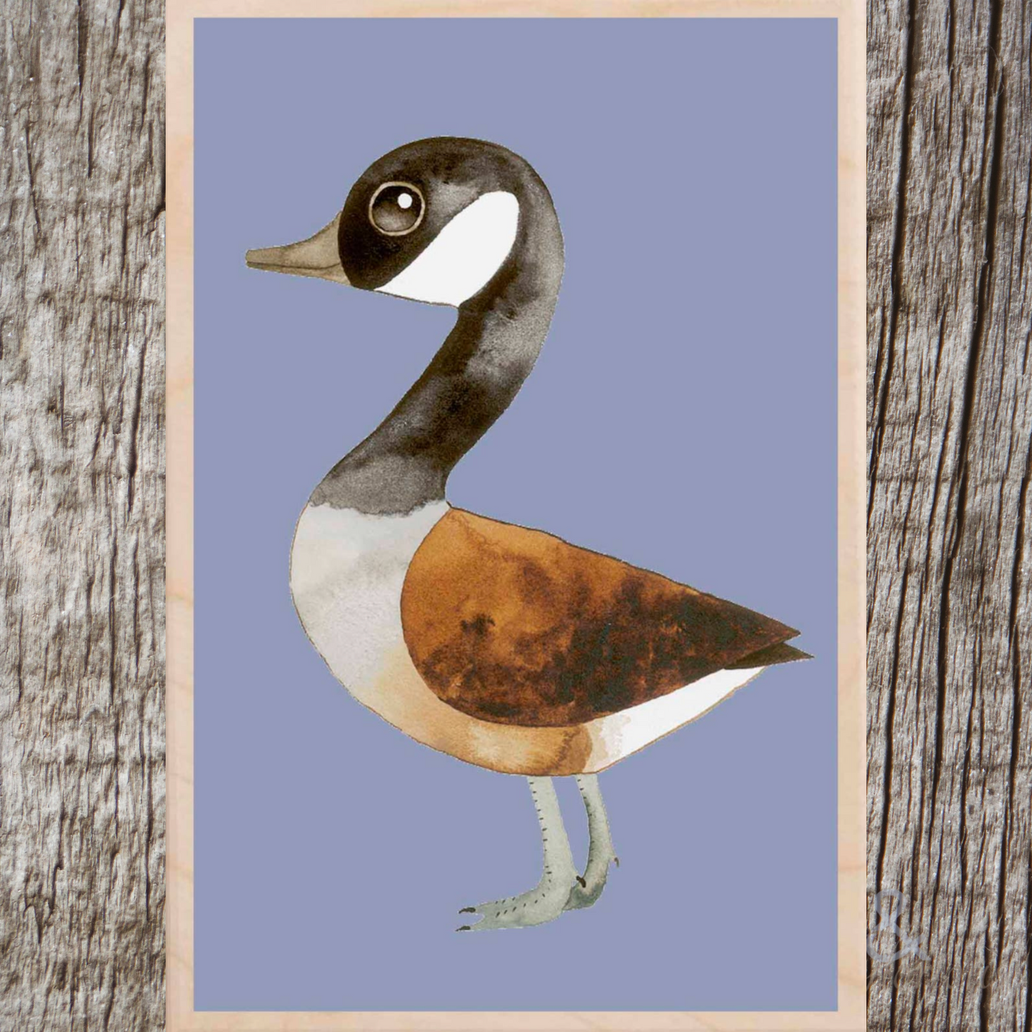 Wooden bird postcard by Matt Sewell