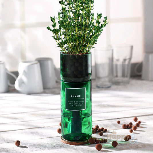 Thyme hydroponic organic herb growing kit