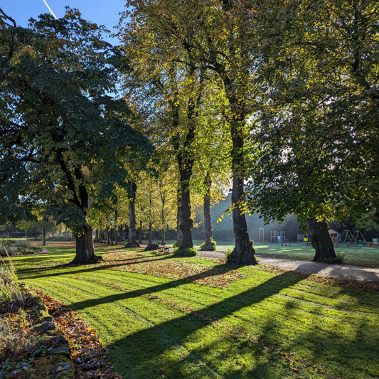 Top spots in Canterbury for a spring proposal