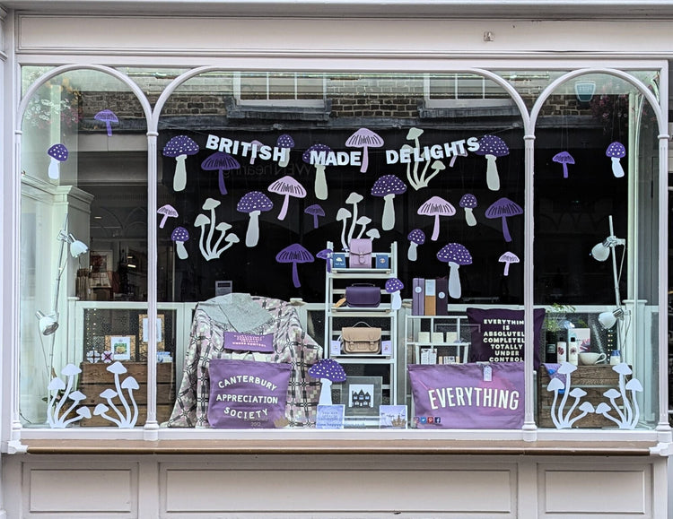 Shop window in Canterbury with a blue and orange kingfisher theme