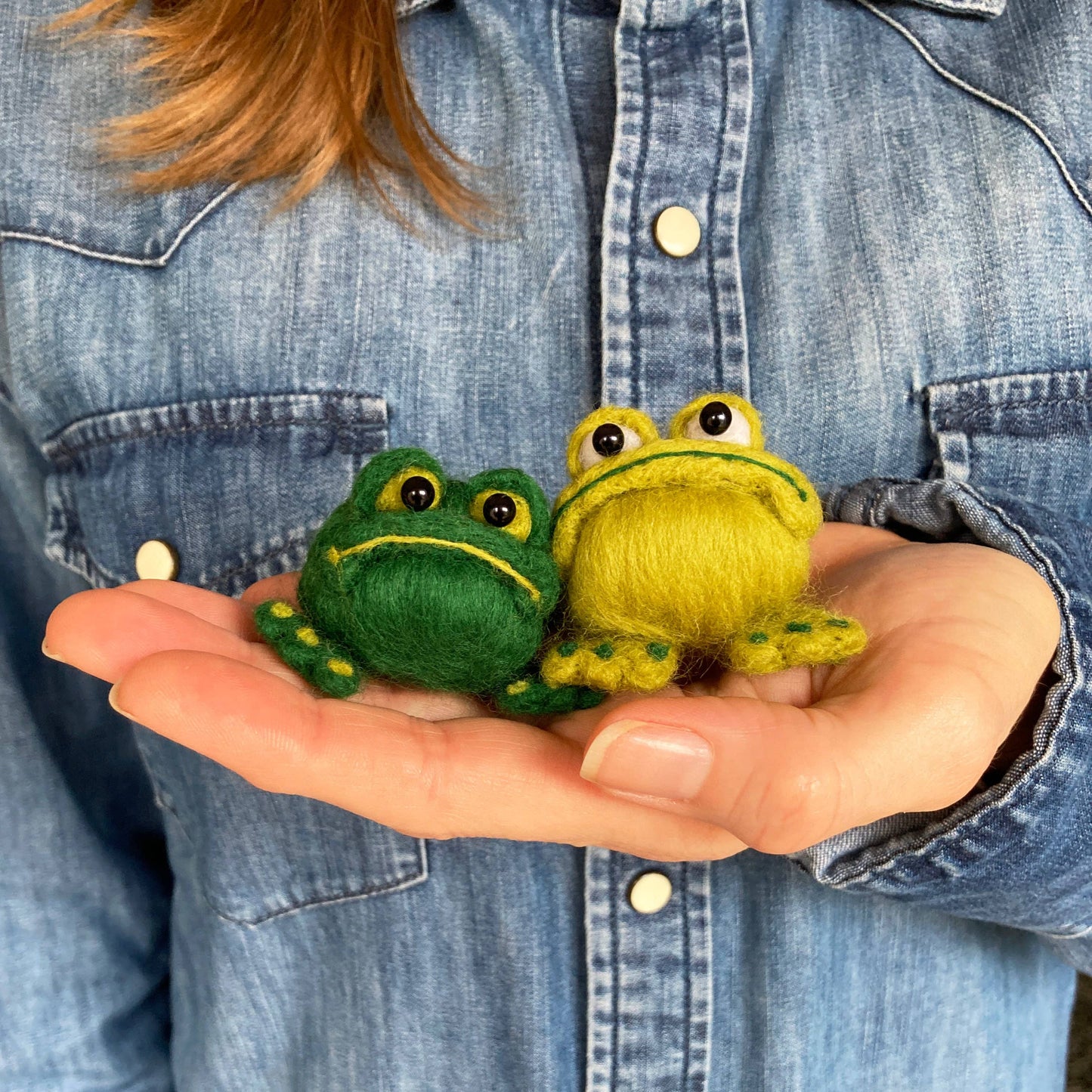 Frogs needle felting kit