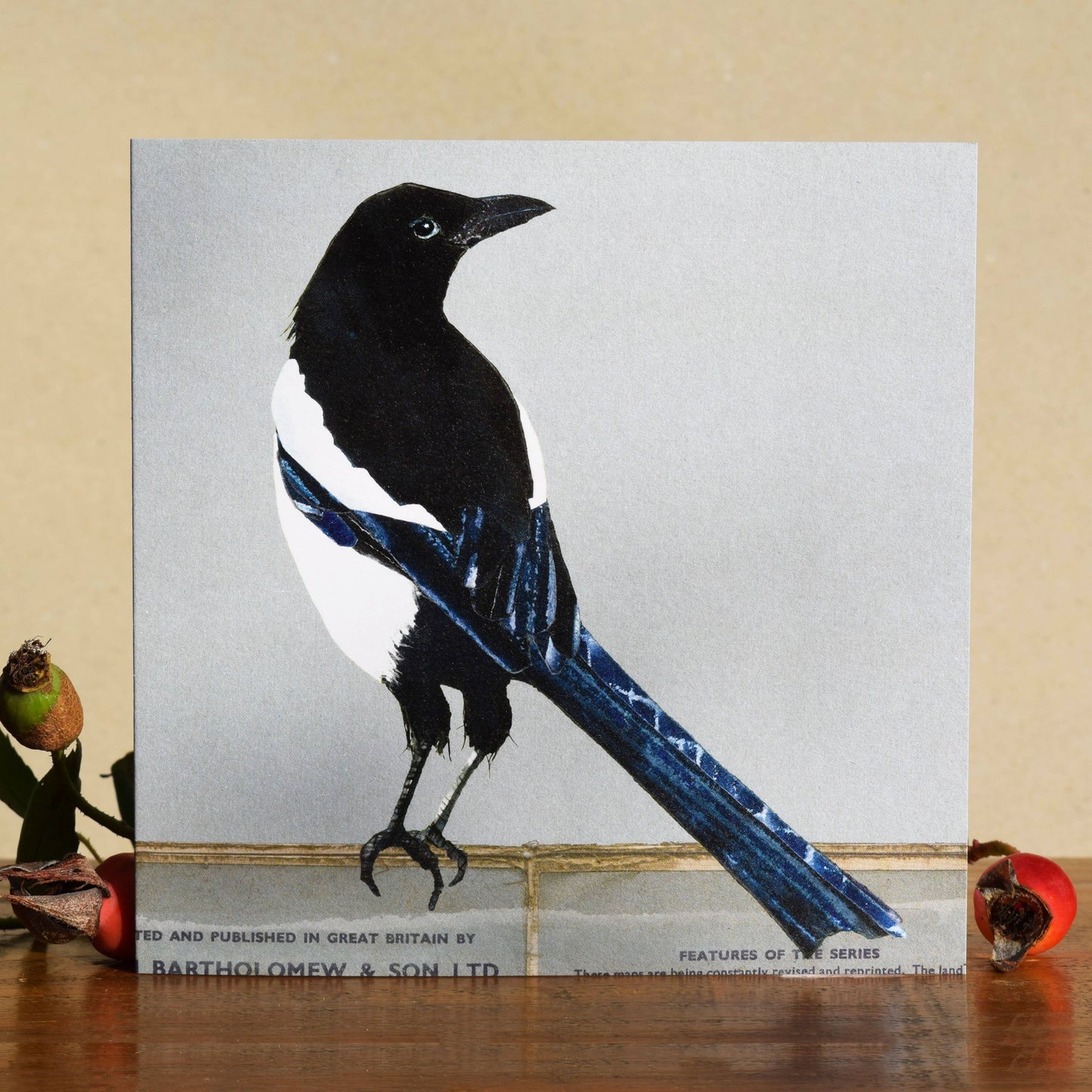 Magpie card