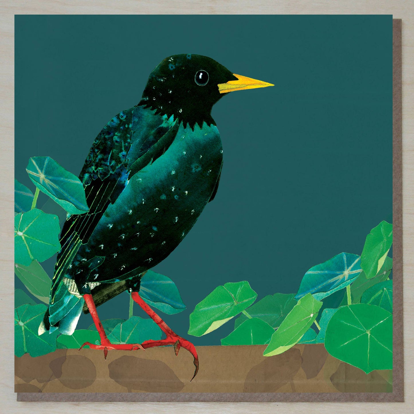 Starling with nasturtium leaves card