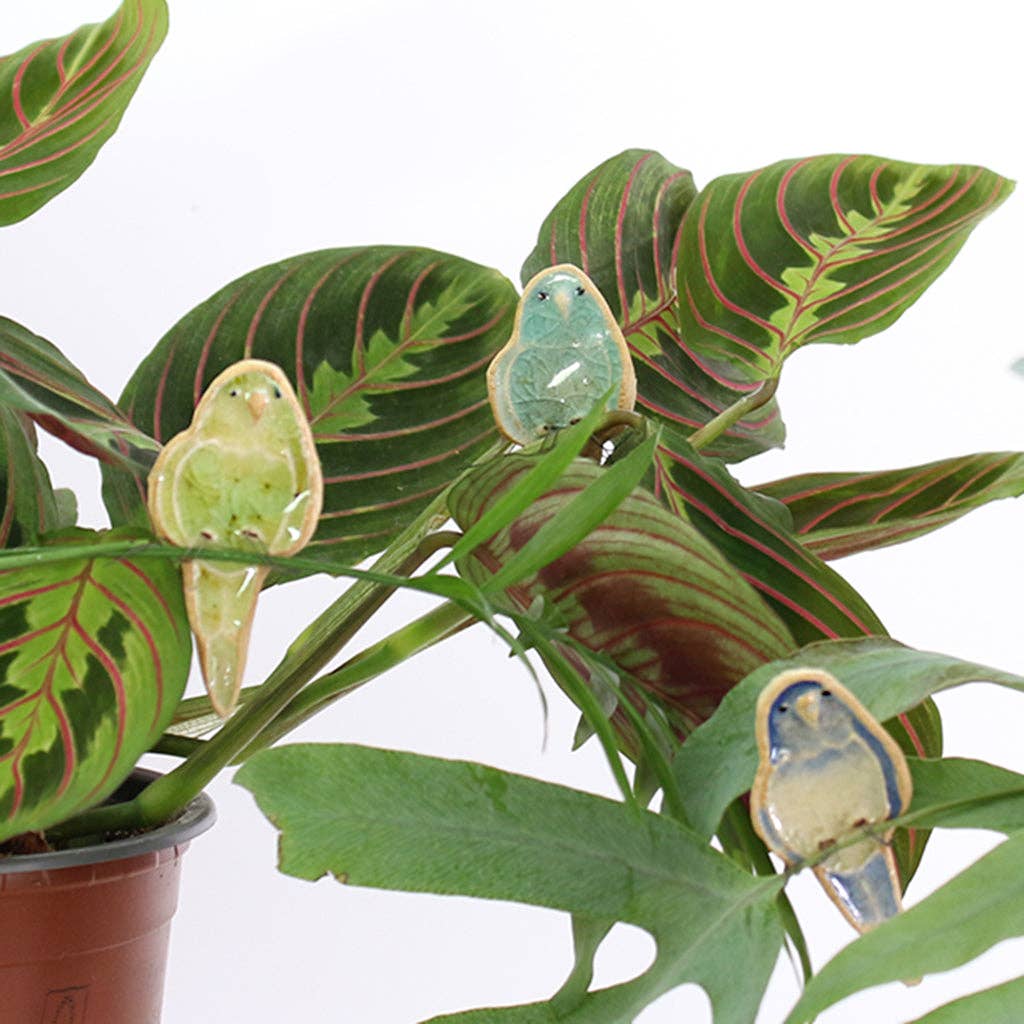 Bobby budgie plant pal decoration