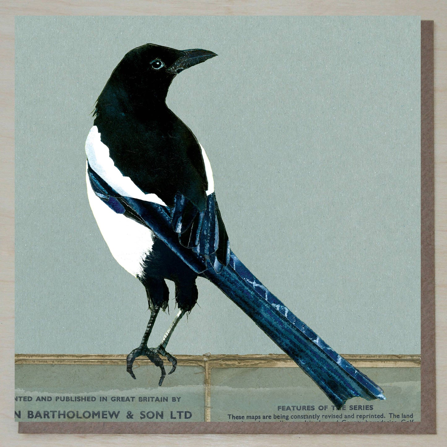 Magpie card