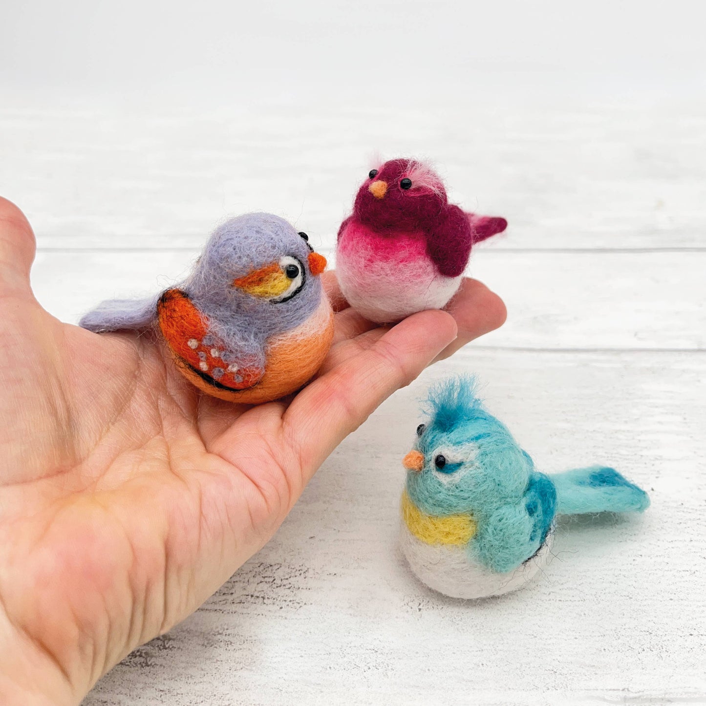 Baby birds needle felting kit