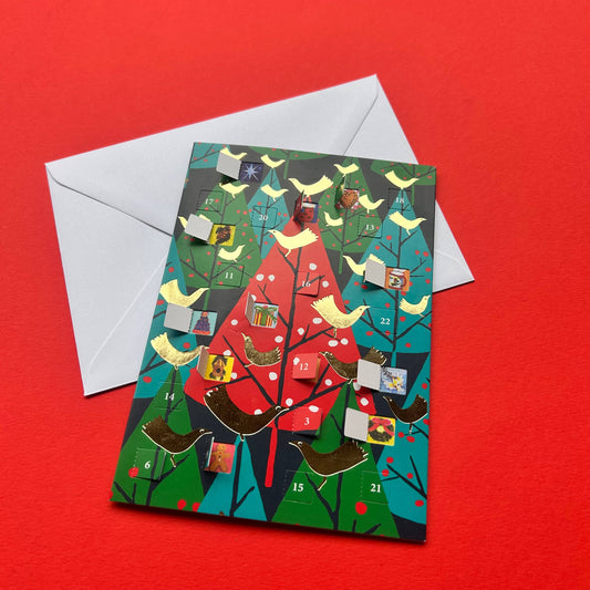 Brilliant birds Advent calendar card