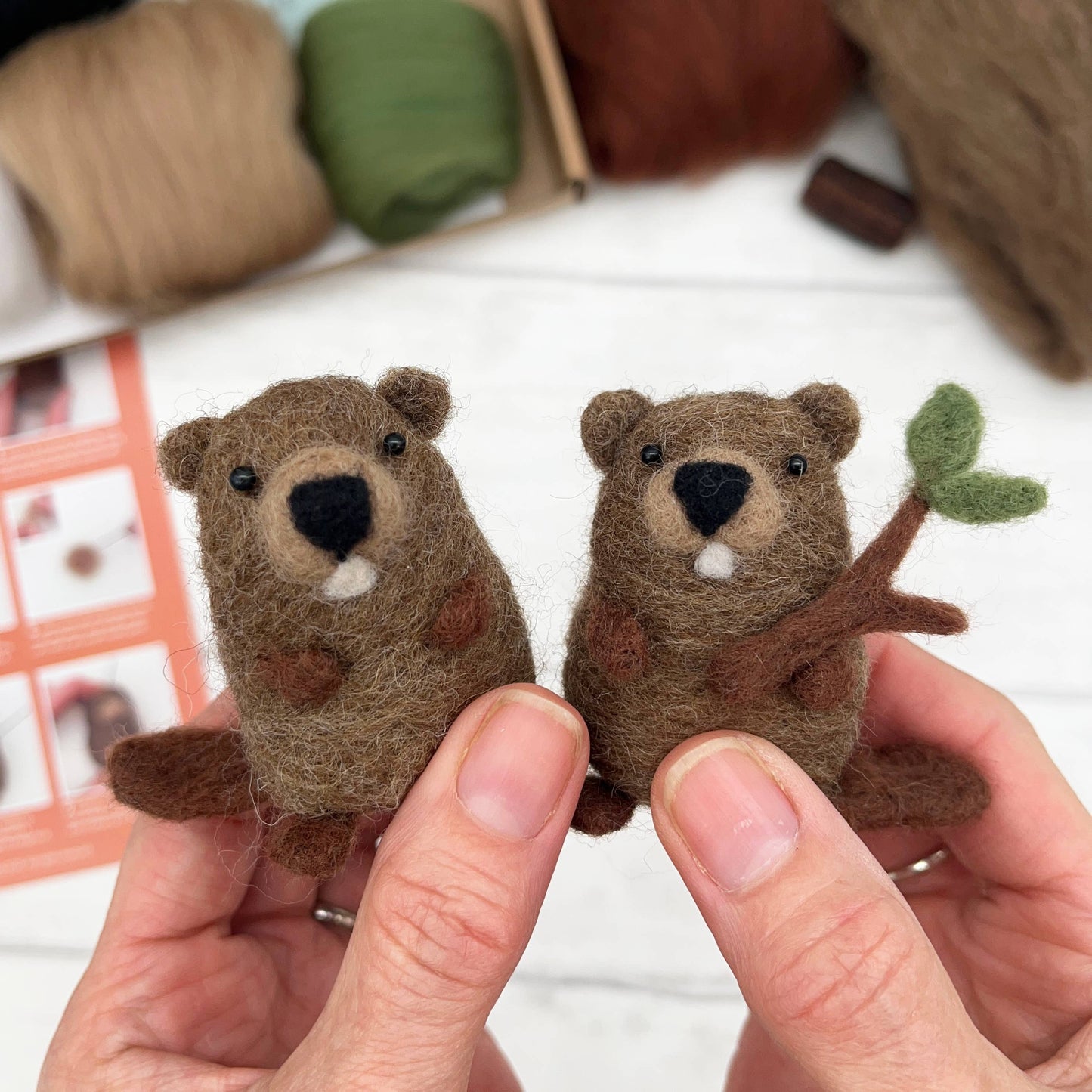 Beavers needle felting kit
