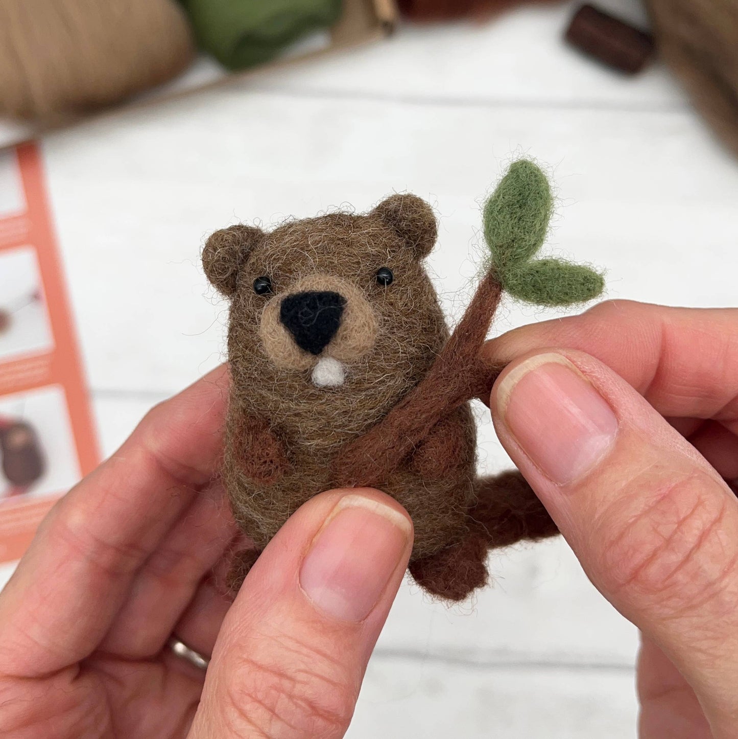 Beavers needle felting kit