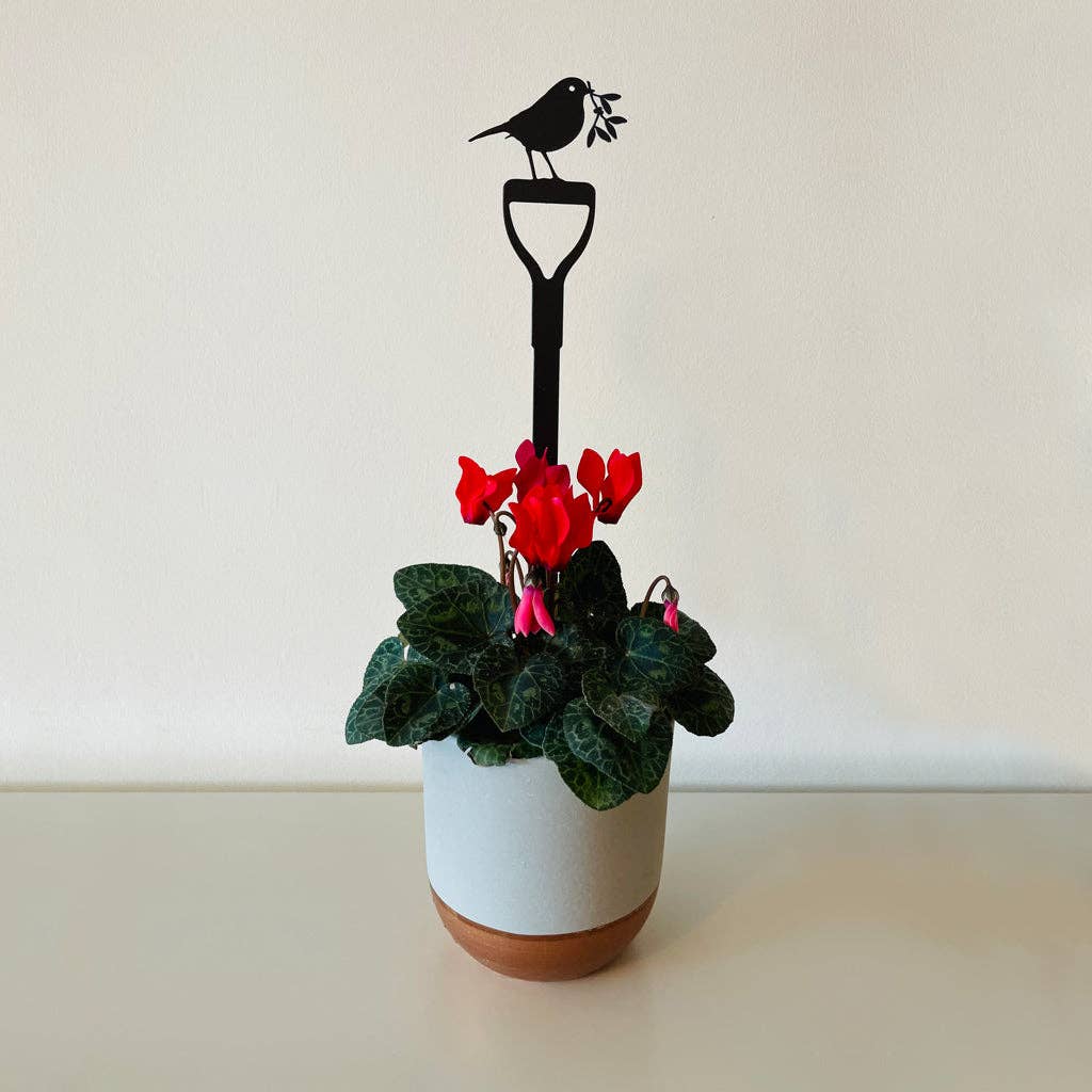 Robin on a fork with mistletoe plant pot stem