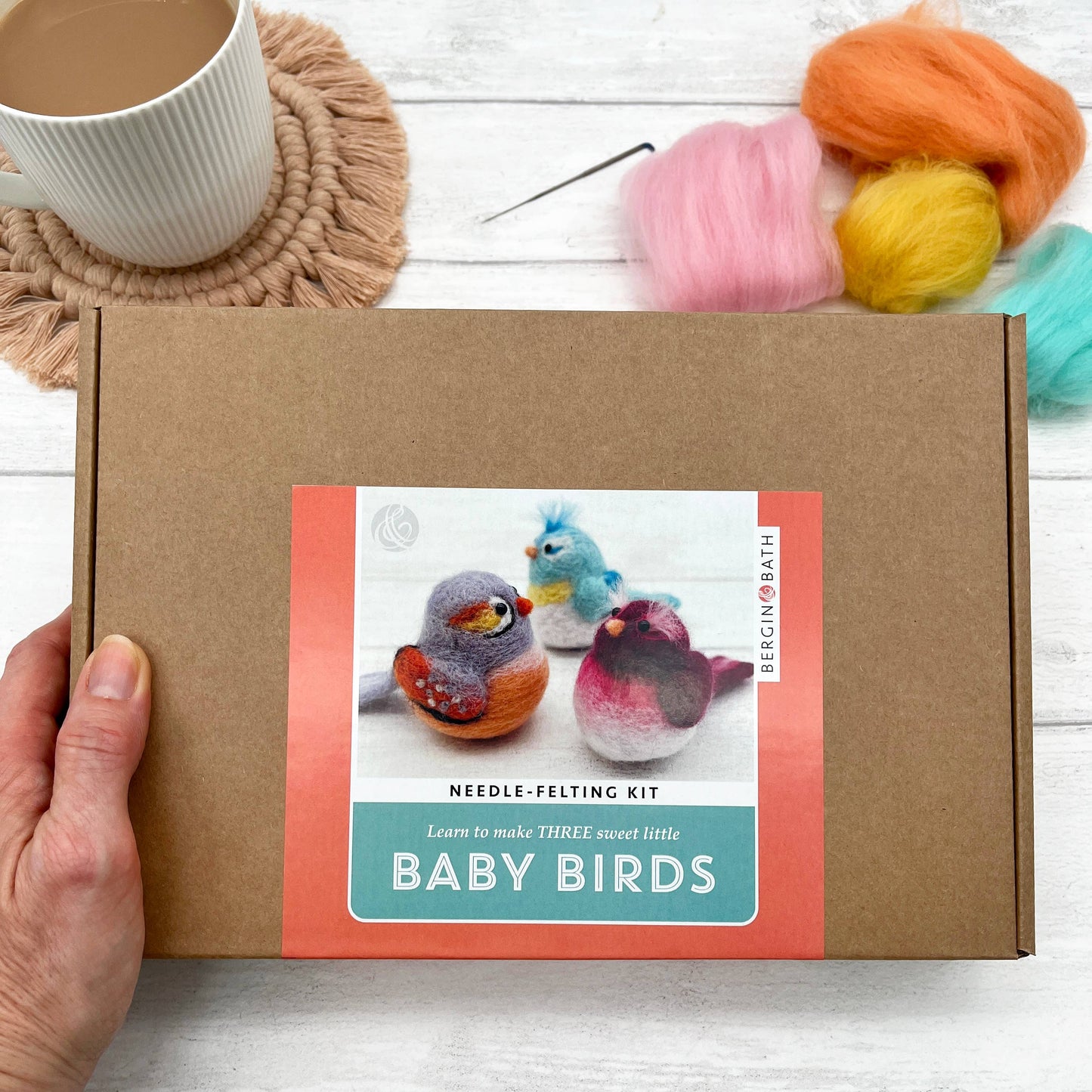 Baby birds needle felting kit