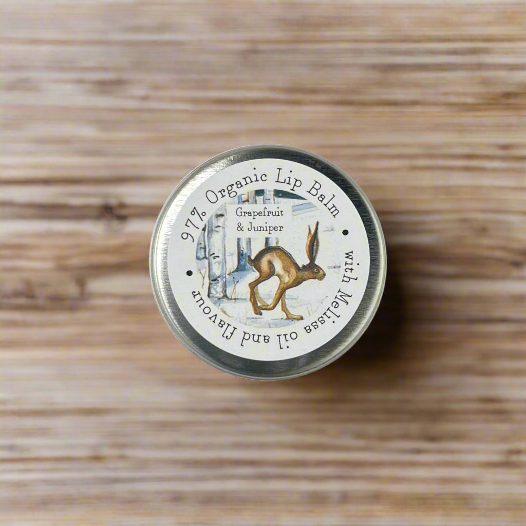 Autumn/Winter shea butter lip balm