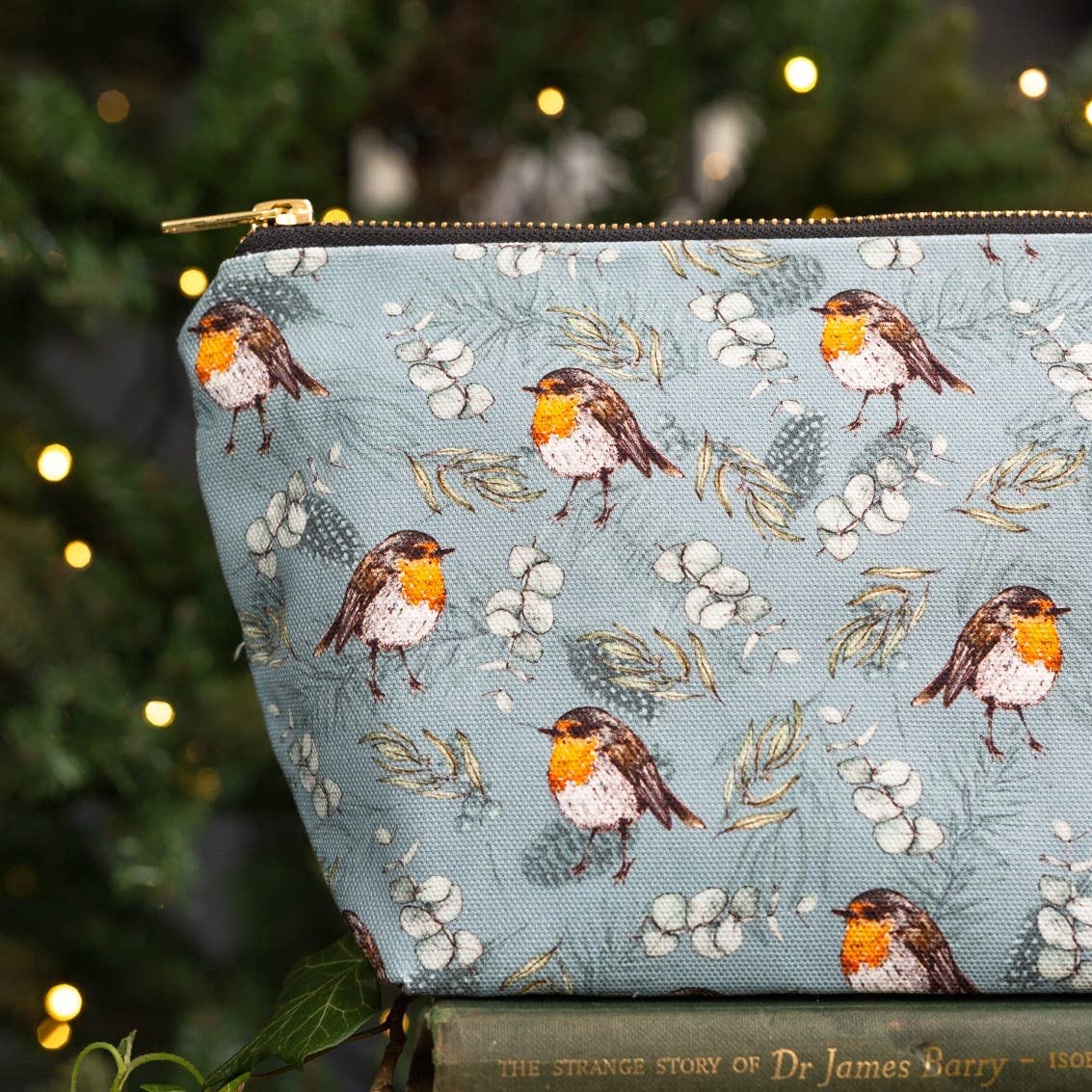Blue robin & eucalyptus organic cotton wash bag