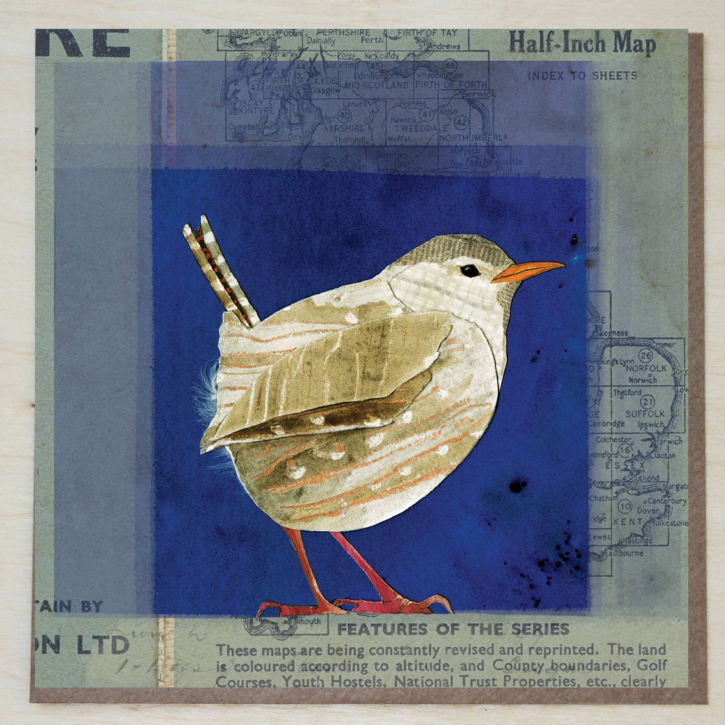 Wren on map card