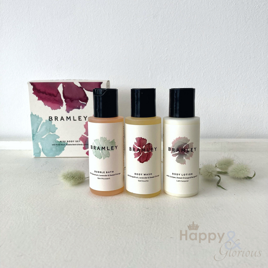 Mini bubble bath, body wash & body lotion gift set