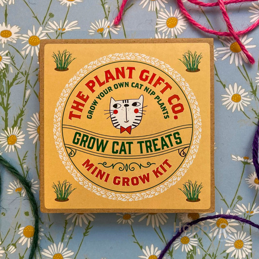 Grow your own cat treats eco grow-kit