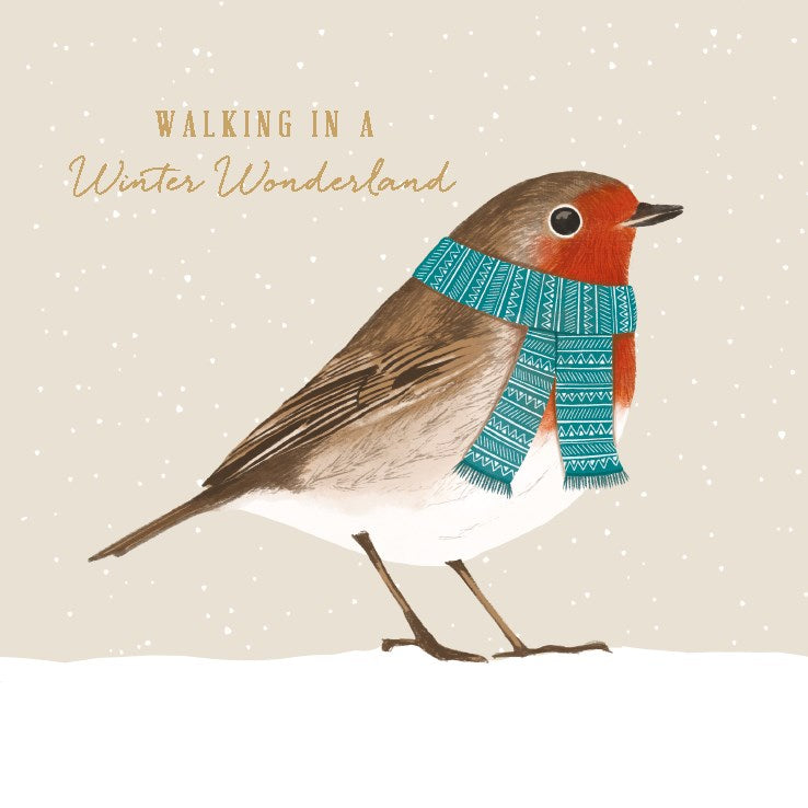 Robin in scarf charity Christmas cards - pack of six