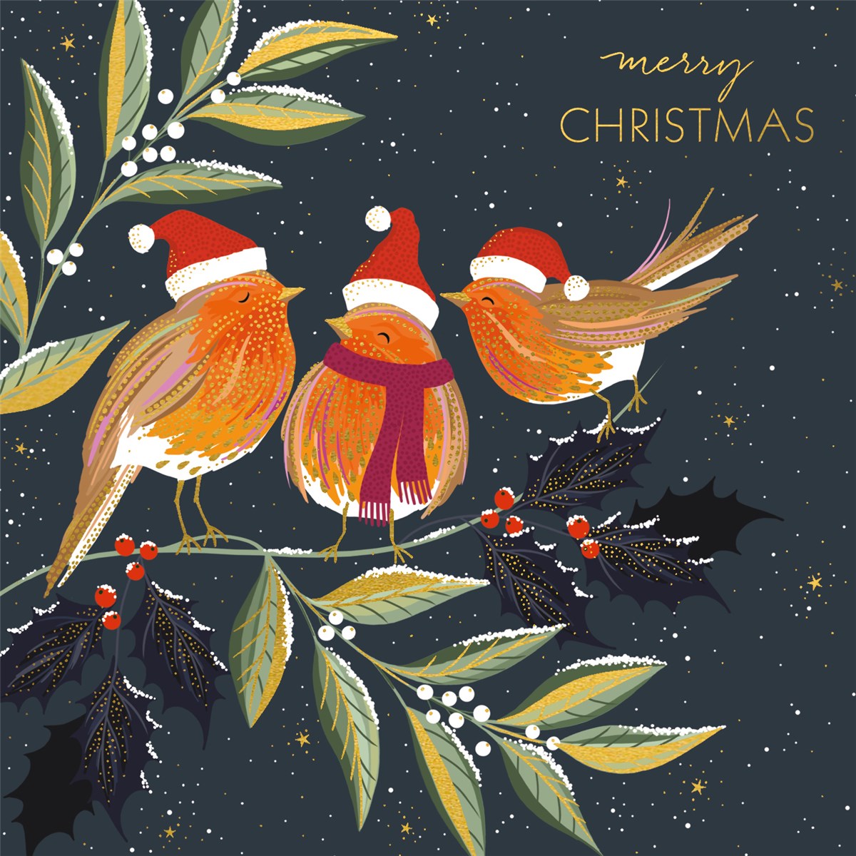 Sara Miller robin Christmas cards - pack of 10
