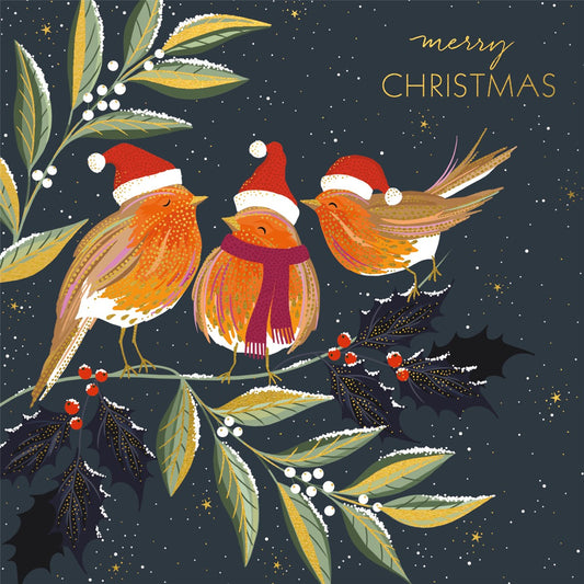 Sara Miller robin Christmas cards - pack of 10
