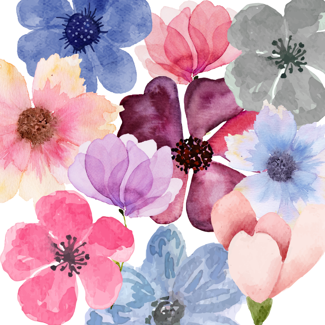 Floral watercolour cards workshop - Wednesday 22nd April