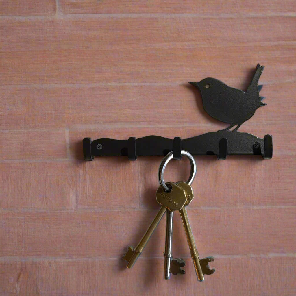 Steel wren key hooks