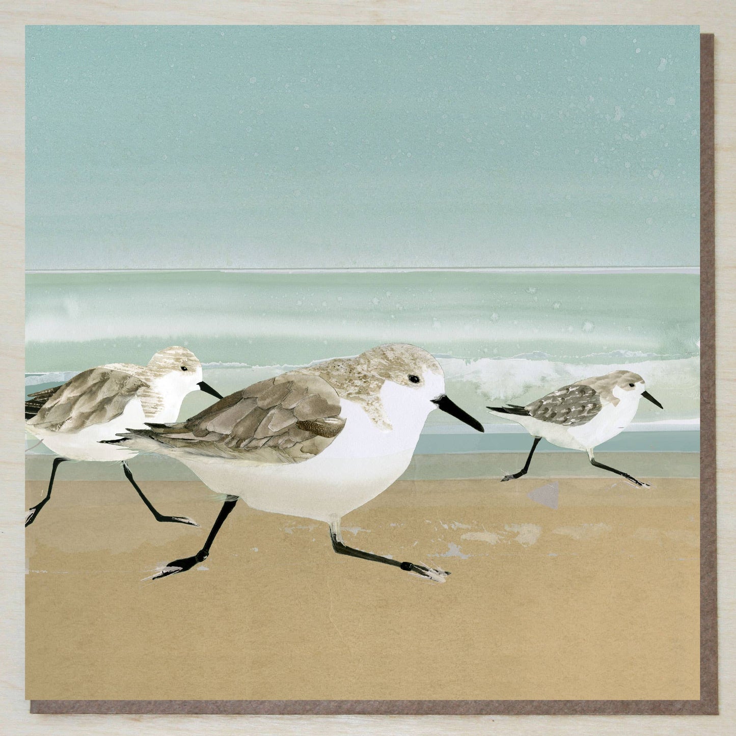 Sanderlings card