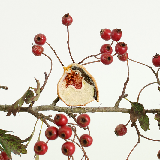 Rachel robin plant pal decoration