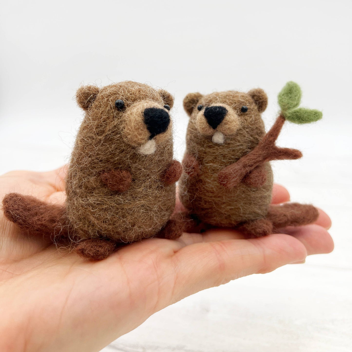 Beavers needle felting kit