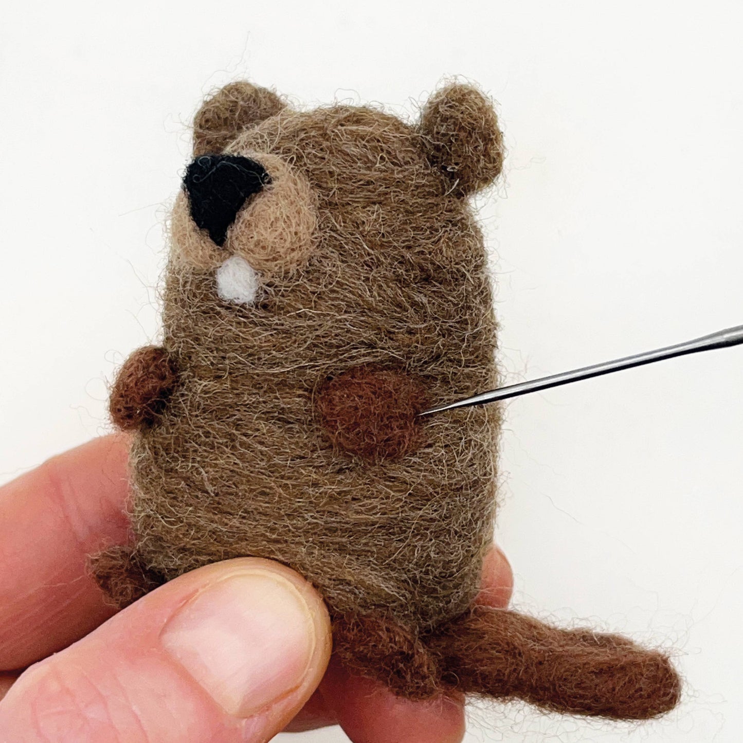 Beavers needle felting kit